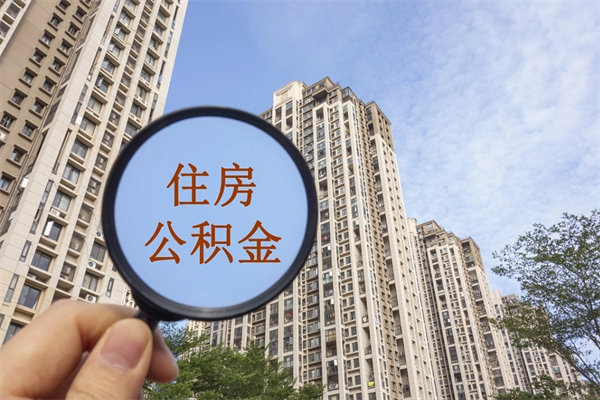 偃师辞职了住房公积金可以全取出来吗（辞职后公积金能全部取出）